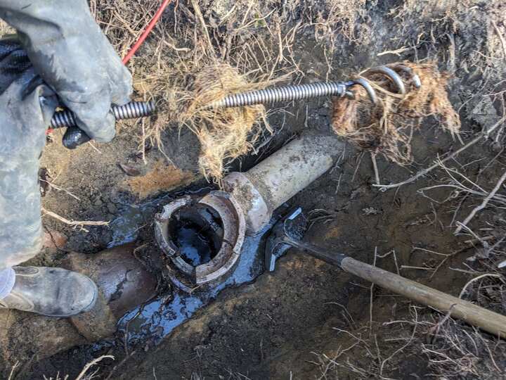 Cracked earthenware sewer pipe uncovered in a wet trench, its socket broken open and full of water, with a coiled drain rod lying across the trench and tree roots through the surrounding soil